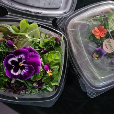 Artisan Salad Box 70g